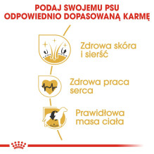 ROYAL CANIN BHN auksaspalvių retriverių sausas šunų maistas - 12 kg ROYAL CANIN BHN auksaspalvių retriverių sausas šunų maistas - 12 kg