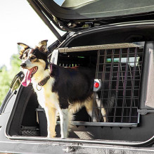 FERPLAST Atlas Car 100 Scenic, car transporter for animals FERPLAST Atlas Car 100 Scenic, car transporter for animals