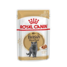 ROYAL CANIN Britų trumpaplaukių šunų pašaras pakuotėje 12 x 85 g