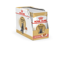 ROYAL CANIN Britų trumpaplaukių šunų pašaras pakuotėje 12 x 85 g