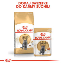 ROYAL CANIN Britų trumpaplaukių šunų pašaras pakuotėje 12 x 85 g