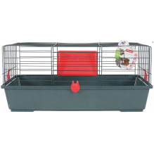 ZOLUX Classic 80 grey / red...