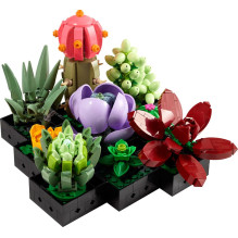 LEGO ICONS 10309 Sukulentai