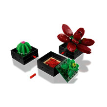 LEGO ICONS 10309 Sukulentai