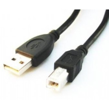Gembird CCP-USB2-AMBM-6 USB kabelis 1,82 m USB A USB B juodas Gembird CCP-USB2-AMBM-6 USB kabelis 1,82 m USB A USB B juodas