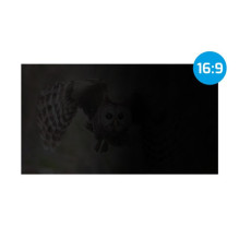 NATEC PRIVATIZING FILTER OWL 27" 16:9 NATEC PRIVATIZING FILTER OWL 27" 16:9
