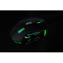 iBox Aurora A-1 pelė, dešinės rankos, USB A tipo, optinė, 2400 DPI