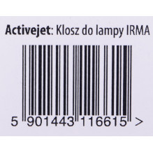 „Activejet“ gaubtas „Irma“ lempai