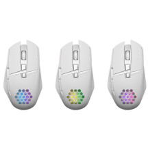 Pelės apsauga GM-514 GLORY OPTIC RF RGB 3200dpi 7P balta Pelės apsauga GM-514 GLORY OPTIC RF RGB 3200dpi 7P balta