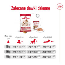 ROYAL CANIN sausas šunų maistas suaugusiems vidutinio dydžio vaikams (4 kg)