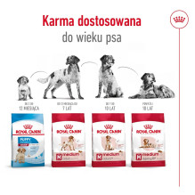 ROYAL CANIN sausas šunų maistas suaugusiems vidutinio dydžio vaikams (4 kg)