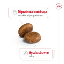 ROYAL CANIN Maxi Adult 5+ - sausas šunų maistas - 15 kg ROYAL CANIN Maxi Adult 5+ - sausas šunų maistas - 15 kg