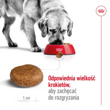 ROYAL CANIN Maxi Adult 5+ - sausas šunų maistas - 15 kg ROYAL CANIN Maxi Adult 5+ - sausas šunų maistas - 15 kg