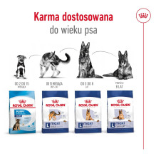 ROYAL CANIN Maxi Adult 5+ - dry dog food - 15 kg ROYAL CANIN Maxi Adult 5+ - dry dog food - 15 kg