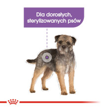 Royal Canin CCN MINI STERILISED - dry food for adult dogs - 8kg