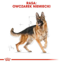 ROYAL CANIN BHN Vokiečių aviganių veislės suaugusių šunų sausas ėdalas - 11 kg ROYAL CANIN BHN Vokiečių aviganių veislės suaugusių šunų sausas ėdalas - 11 kg