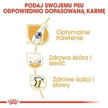 ROYAL CANIN BHN Vokiečių aviganių veislės suaugusių šunų sausas ėdalas - 11 kg ROYAL CANIN BHN Vokiečių aviganių veislės suaugusių šunų sausas ėdalas - 11 kg