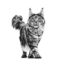 ROYAL CANIN Cat Gastrointestinal VHN - dry cat food - 400g ROYAL CANIN Cat Gastrointestinal VHN - dry cat food - 400g
