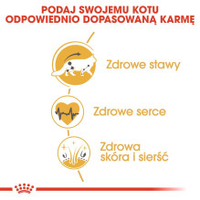 ROYAL CANIN FBN Meino meškėnų suaugusių kačių sausas ėdalas - 10 kg ROYAL CANIN FBN Meino meškėnų suaugusių kačių sausas ėdalas - 10 kg