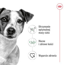 ROYAL CANIN Adult Mini S - sausas šunų ėdalas - 4 kg ROYAL CANIN Adult Mini S - sausas šunų ėdalas - 4 kg