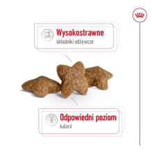 ROYAL CANIN Adult Mini S - sausas šunų ėdalas - 4 kg ROYAL CANIN Adult Mini S - sausas šunų ėdalas - 4 kg