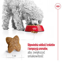 ROYAL CANIN Adult Mini S - sausas šunų ėdalas - 4 kg ROYAL CANIN Adult Mini S - sausas šunų ėdalas - 4 kg