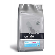 CALISTA Baby Dog Lamb -...
