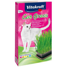 VITAKRAFT kačių žolės...