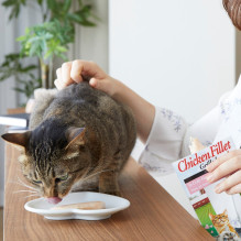 INABA Grilyje keptos vištienos filė – ypač minkšta šukutės skonio sultinyje – kačių skanėstai – 25 g