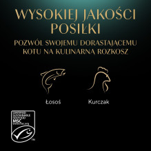 SHEBA kačiukų skonių rinkinys padaže - šlapias kačių ėdalas - 40x85 g SHEBA kačiukų skonių rinkinys padaže - šlapias kačių ėdalas - 40x85 g