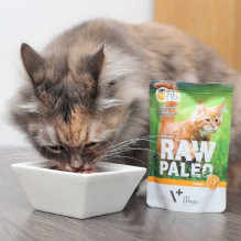 VETEXPERT Raw Paleo Adult Cat Turkey - wet cat food - 100 g VETEXPERT Raw Paleo Adult Cat Turkey - wet cat food - 100 g