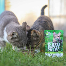 VETEXPERT Raw Paleo suaugusių kačių sterilizuotų žvėrių maistas - šlapias kačių ėdalas - 100 g