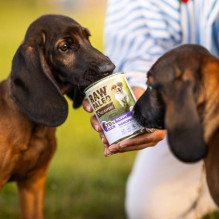 VETEXPERT Raw Paleo Adult Monoprotein Duck - wet dog food - 400 g VETEXPERT Raw Paleo Adult Monoprotein Duck - wet dog food - 400 g