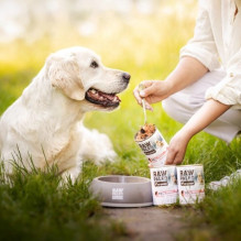 VETEXPERT Raw Paleo Adult Monoprotein Pork - wet dog food - 400 g VETEXPERT Raw Paleo Adult Monoprotein Pork - wet dog food - 400 g