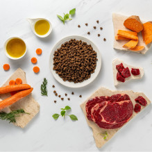 VETEXPERT Raw Paleo Ultra Mini Adult Beef - dry dog food - 2 kg VETEXPERT Raw Paleo Ultra Mini Adult Beef - dry dog food - 2 kg