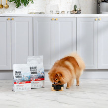 VETEXPERT Raw Paleo Ultra Mini Adult Beef - dry dog food - 2 kg VETEXPERT Raw Paleo Ultra Mini Adult Beef - dry dog food - 2 kg