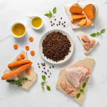 VETEXPERT Raw Paleo Ultra Mini Adult Turkey - dry dog food - 2 kg