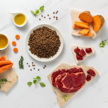 VETEXPERT Raw Paleo Ultra Mini Puppy Beef - sausas maistas mažų veislių šuniukams - 2 kg VETEXPERT Raw Paleo Ultra Mini Puppy Beef - sausas maistas mažų veislių šuniukams - 2 kg