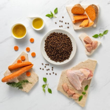 RAW PALEO Ultra Mini Puppy Turkey - sausas ėdalas šuniukams - 2 kg