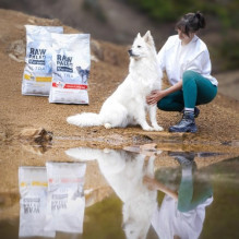 VETEXPERT Raw Paleo Ultra Medium&amp;Large Adult Turkey - dry dog food - 2 kg