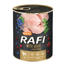 Dolina Noteci Rafi šlapias...