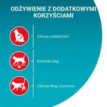 PURINA One Sterilcat Wołowina - sausas kačių maistas - 9,75kg PURINA One Sterilcat Wołowina - sausas kačių maistas - 9,75kg