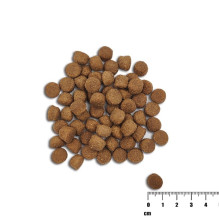 VETEXPERT Raw Paleo Healthy Grain Puppy - sausas šunų ėdalas su lašiša ir miežiais - 10 kg VETEXPERT Raw Paleo Healthy Grain Puppy - sausas šunų ėdalas su lašiša ir miežiais - 10 kg