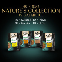SHEBA Nature\'s Collection paukštienos skonio drebučiuose - šlapias kačių ėdalas - 40 x 85 g SHEBA Nature\'s Collection paukštienos skonio drebučiuose - šlapias kačių ėdalas - 40 x 85 g