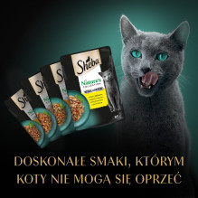 SHEBA Nature\'s Collection paukštienos skonio drebučiuose - šlapias kačių ėdalas - 40 x 85 g SHEBA Nature\'s Collection paukštienos skonio drebučiuose - šlapias kačių ėdalas - 40 x 85 g