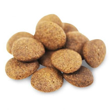 FISH4DOGS Superior Senior Medium Complete Salmon - dry dog food - 12kg FISH4DOGS Superior Senior Medium Complete Salmon - dry dog food - 12kg