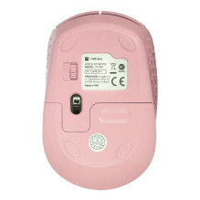 NATEC STORK pelė namams, skirta abiem rankoms, RF belaidė + USB A tipo optinė, 1600 DPI NATEC STORK pelė namams, skirta abiem rankoms, RF belaidė + USB A tipo optinė, 1600 DPI