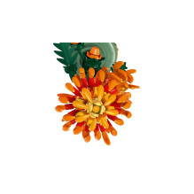 LEGO ICONS 10368 Chrizantema