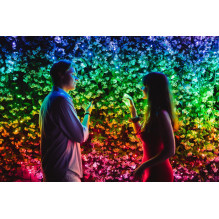 TWINKLY Strings 600 (TWS600STP-BEU) Smart Christmas tree lights 600 LED RGB 48 m TWINKLY Strings 600 (TWS600STP-BEU) Smart Christmas tree lights 600 LED RGB 48 m