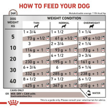 ROYAL CANIN VHN Gastrointestinal Loaf - wet food for dogs - 200g ROYAL CANIN VHN Gastrointestinal Loaf - wet food for dogs - 200g